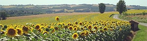 Property For Sale in Gascony